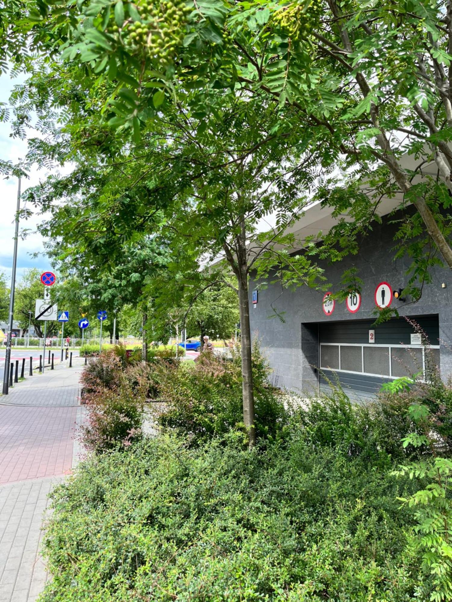Apartment Metro Slodowiec Free Parking Warsawa Bagian luar foto